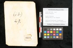 Foto (Objekt + Etikett) von Rhamnus frangula L. (NHMW-GEO-2024-0188-11624)